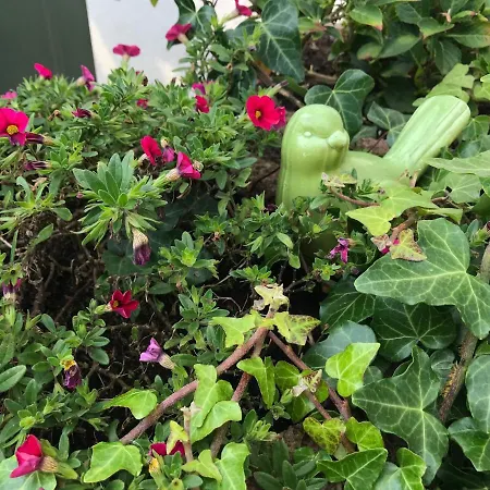 Auszeit * هاملن